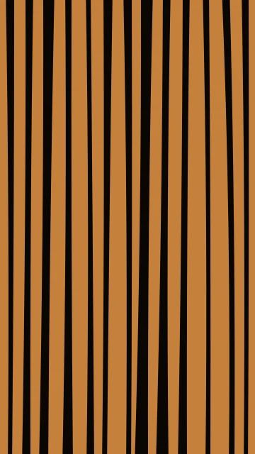Orange 800 zebra phone wallpaper — free HD orange 800 mobile wallpaper 1080x1920