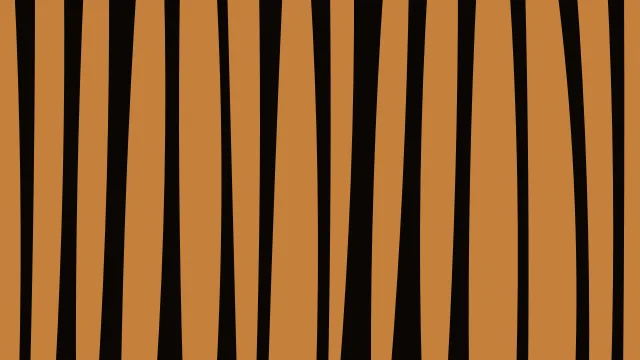 Orange 800 zebra print background — free HD orange 800 color wallpaper 1920x1080