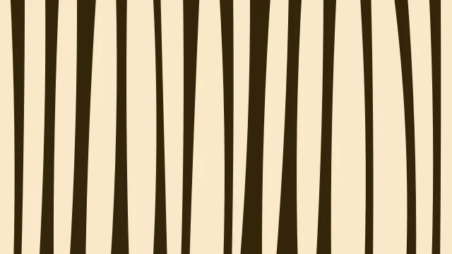 Orange zebra print background — free HD orange color wallpaper 1920x1080