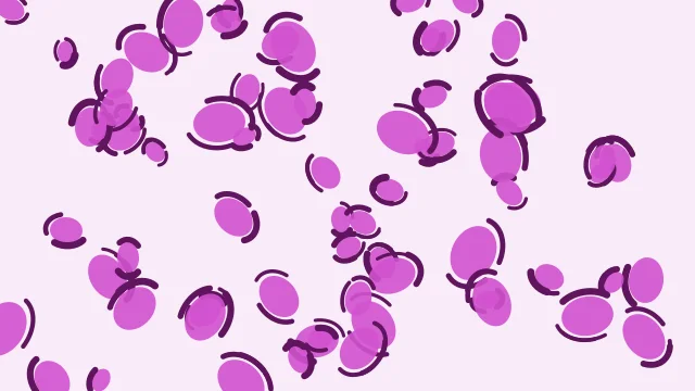 Orchid leopard print background — free HD orchid color wallpaper 1920x1080