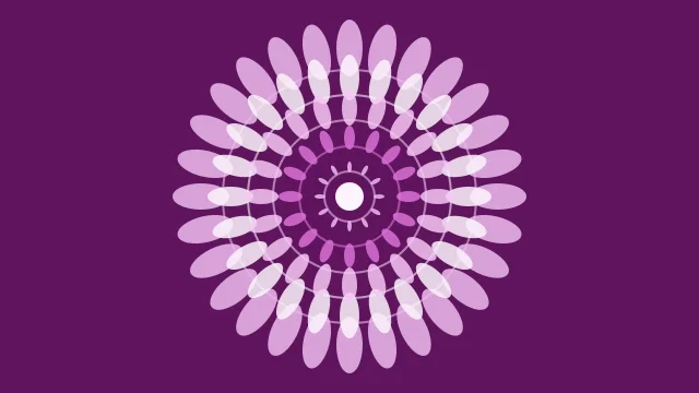 Orchid mandala background — free HD orchid color wallpaper 1920x1080