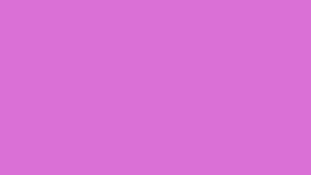 Orchid plain solid background — free HD orchid color wallpaper 1920x1080