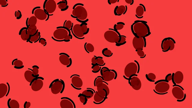 Oxblood leopard print background — free HD oxblood color wallpaper 1920x1080