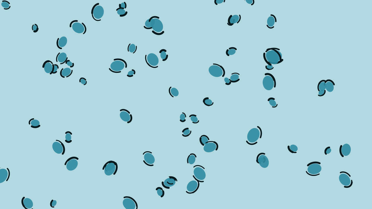 Pacific Blue leopard print background — free HD pacific blue color wallpaper 1920x1080