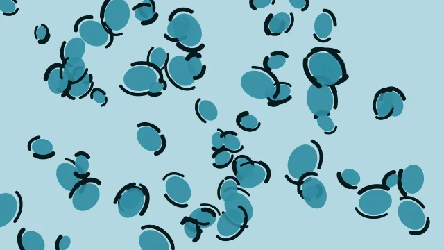 Pacific Blue leopard print background — free HD pacific blue color wallpaper 1920x1080