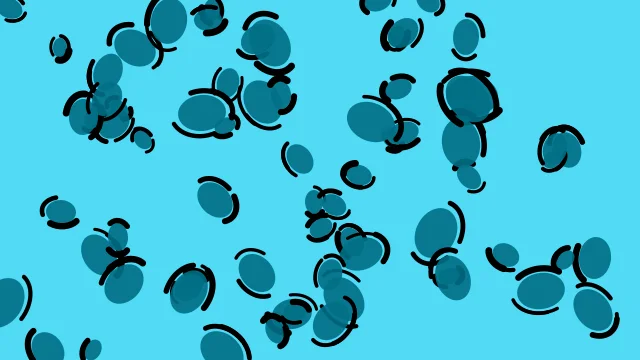 Pacific Cyan leopard desktop wallpaper — free 4K pacific cyan wallpaper 3840x2160