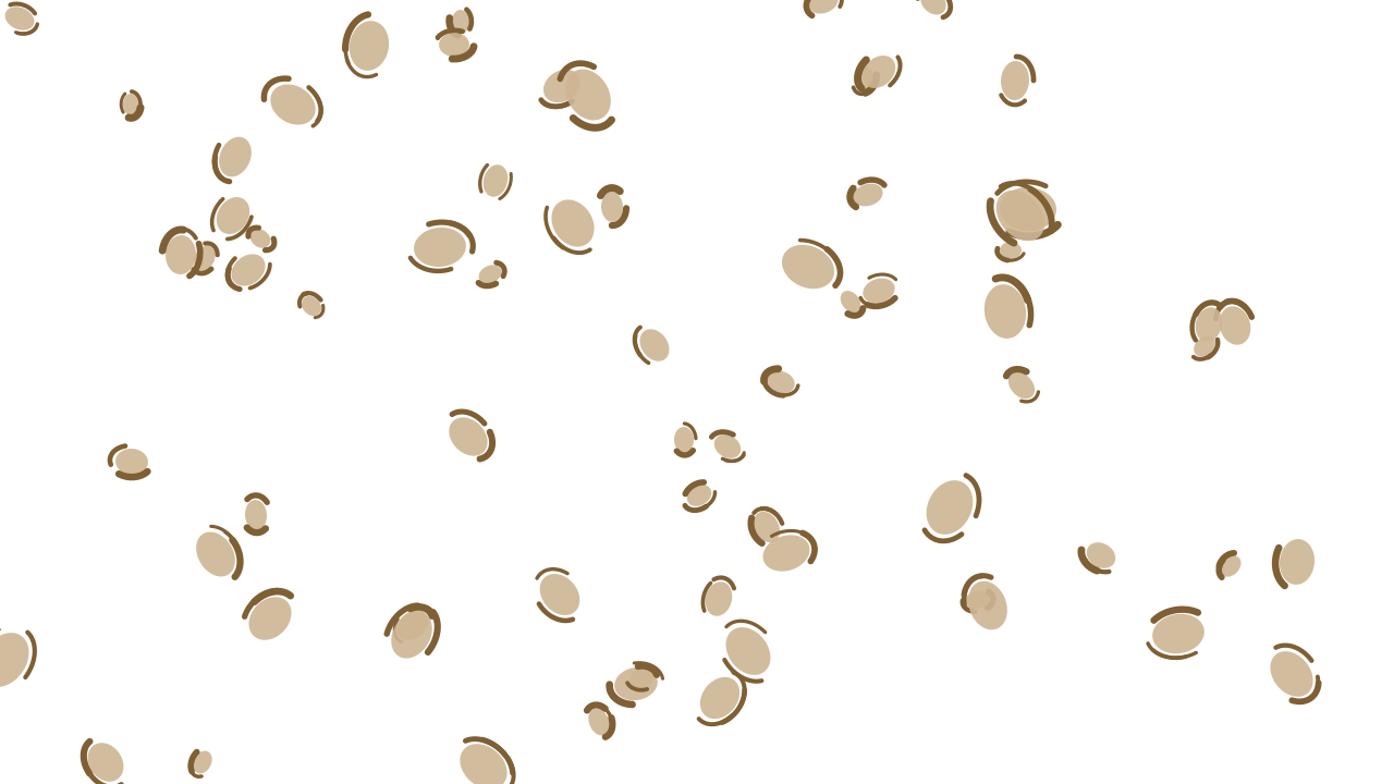 Pale Oak leopard print background — free HD pale oak color wallpaper 1920x1080