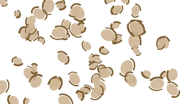 Pale Oak leopard print background — free HD pale oak color wallpaper 1920x1080