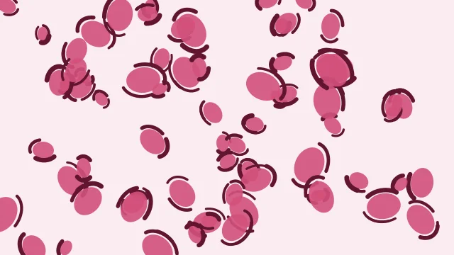 Pale Violet Red leopard desktop wallpaper — free 4K pale violet red wallpaper 3840x2160