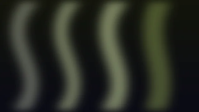 Palm Leaf aurora background — free HD palm leaf color wallpaper 1920x1080