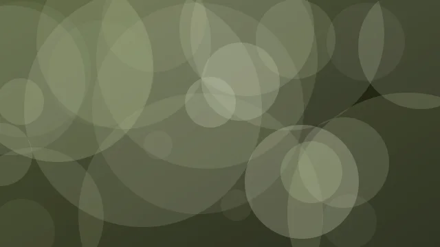Palm Leaf bokeh background — free HD palm leaf color wallpaper 1920x1080