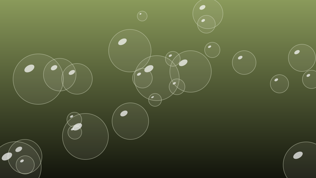 Palm Leaf bubbles background — free HD palm leaf color wallpaper 1920x1080