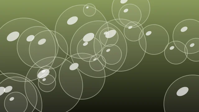 Palm Leaf bubbles background — free HD palm leaf color wallpaper 1920x1080