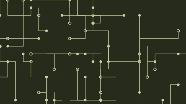 Palm Leaf circuit board background — free HD palm leaf color wallpaper 1920x1080