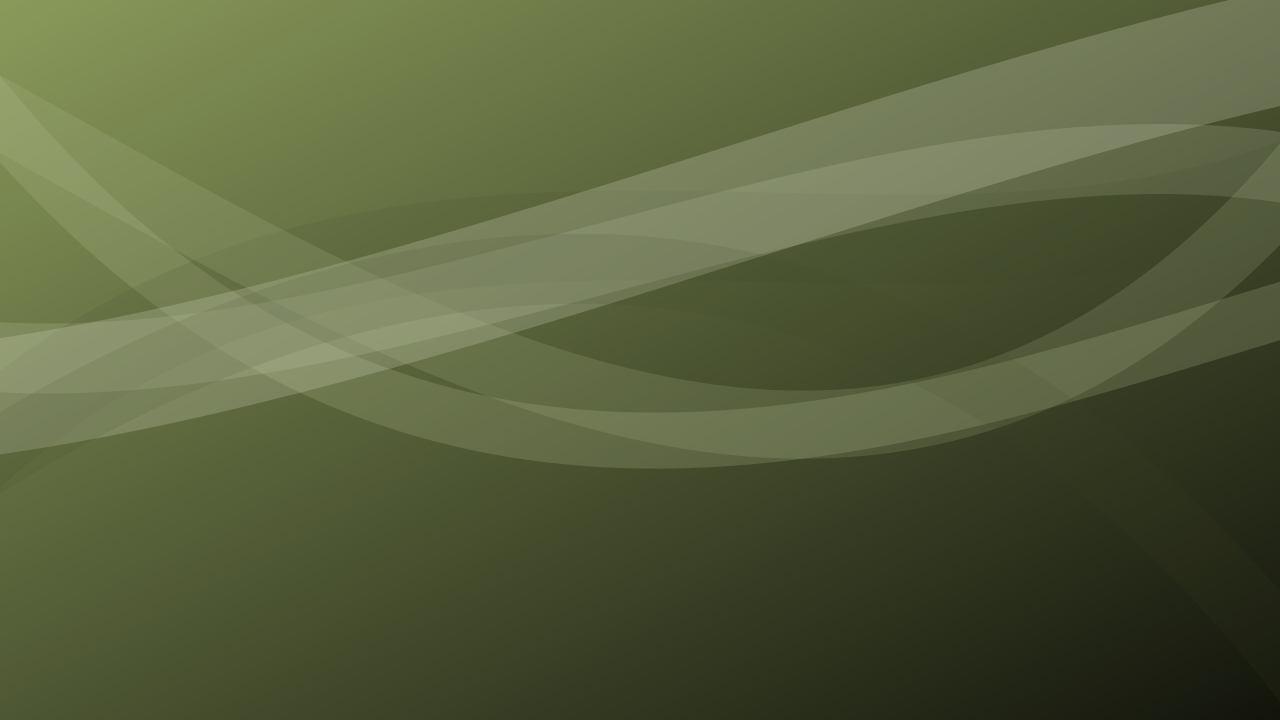 Palm Leaf curves background — free HD palm leaf color wallpaper 1920x1080