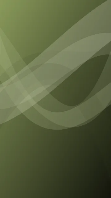 Palm Leaf curves phone wallpaper — free HD palm leaf mobile wallpaper 1080x1920