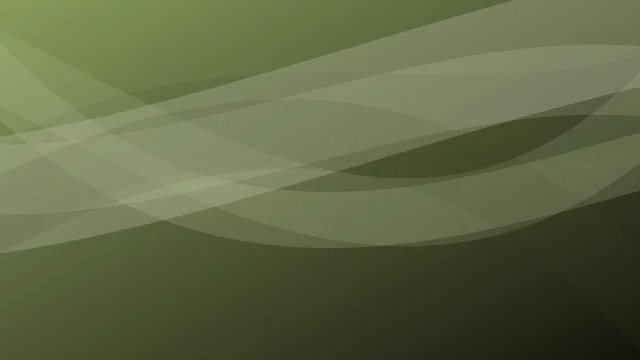 Palm Leaf curves background — free HD palm leaf color wallpaper 1920x1080