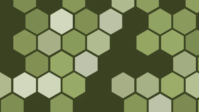 Palm Leaf hexagon background — free HD palm leaf color wallpaper 1920x1080