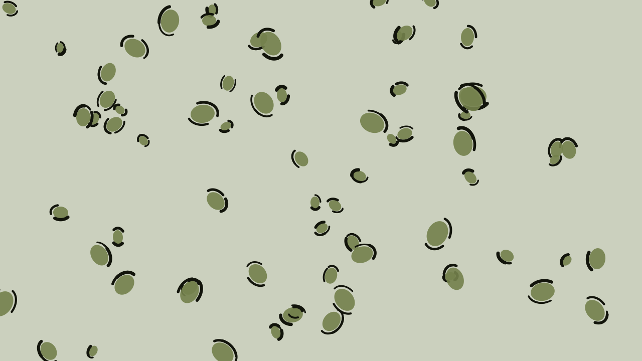 Palm Leaf leopard print background — free HD palm leaf color wallpaper 1920x1080