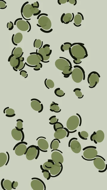 Palm Leaf leopard phone wallpaper — free HD palm leaf mobile wallpaper 1080x1920