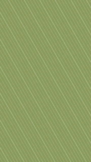 Palm Leaf lines phone wallpaper — free HD palm leaf mobile wallpaper 1080x1920