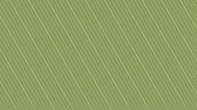 Palm Leaf pinstripe background — free HD palm leaf color wallpaper 1920x1080