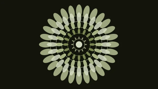 Palm Leaf mandala background — free HD palm leaf color wallpaper 1920x1080