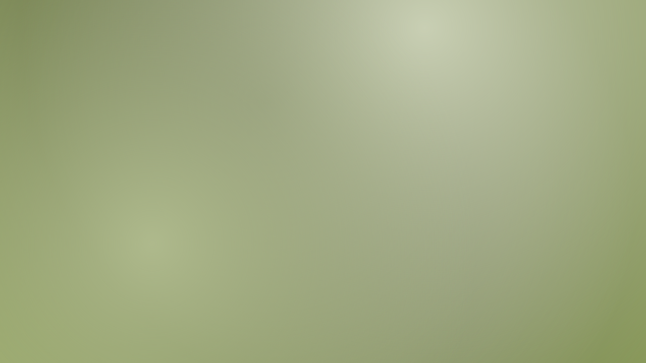 Palm Leaf mesh background — free HD palm leaf color wallpaper 1920x1080