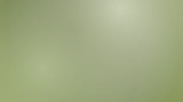 Palm Leaf mesh background — free HD palm leaf color wallpaper 1920x1080