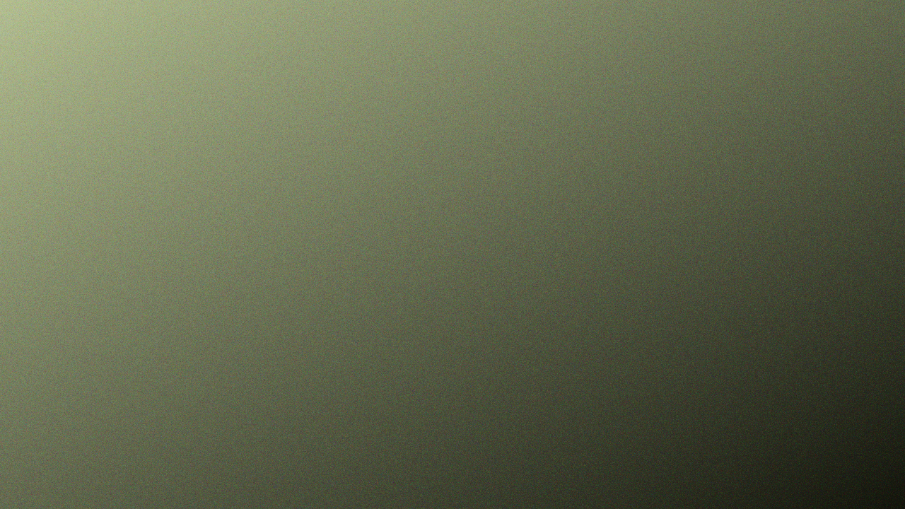 Palm Leaf noise background — free HD palm leaf color wallpaper 1920x1080