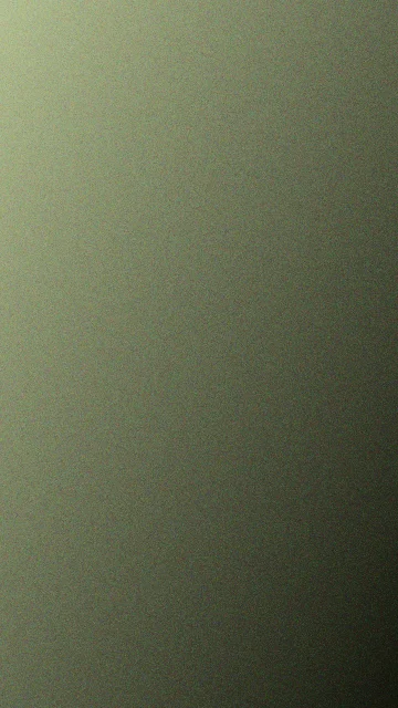 Palm Leaf noise phone wallpaper — free HD palm leaf mobile wallpaper 1080x1920