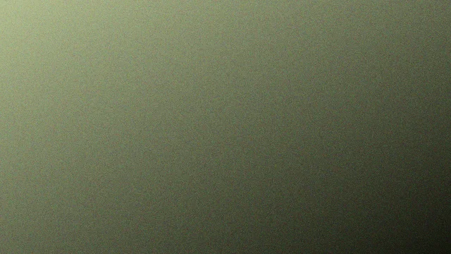 Palm Leaf noise background — free HD palm leaf color wallpaper 1920x1080