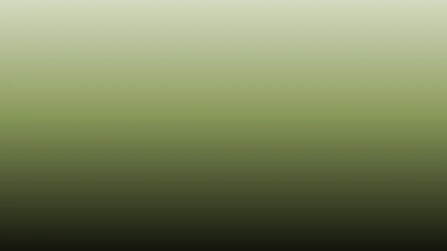 Palm Leaf ombre background — free HD palm leaf color wallpaper 1920x1080