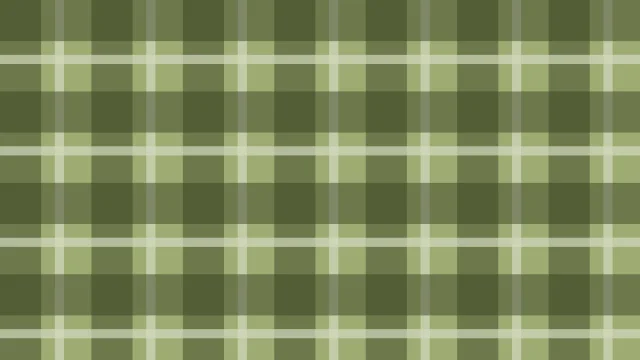 Palm Leaf plaid background — free HD palm leaf color wallpaper 1920x1080