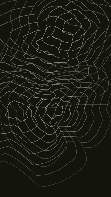 Palm Leaf topographic phone wallpaper — free HD palm leaf mobile wallpaper 1080x1920