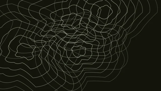 Palm Leaf topographic background — free HD palm leaf color wallpaper 1920x1080