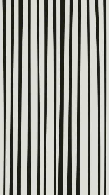 Palm Leaf zebra phone wallpaper — free HD palm leaf mobile wallpaper 1080x1920