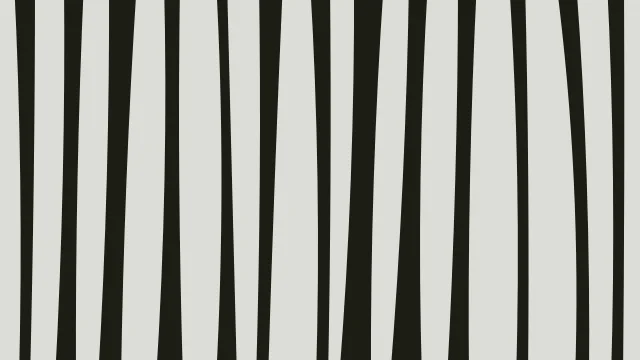 Palm Leaf zebra print background — free HD palm leaf color wallpaper 1920x1080