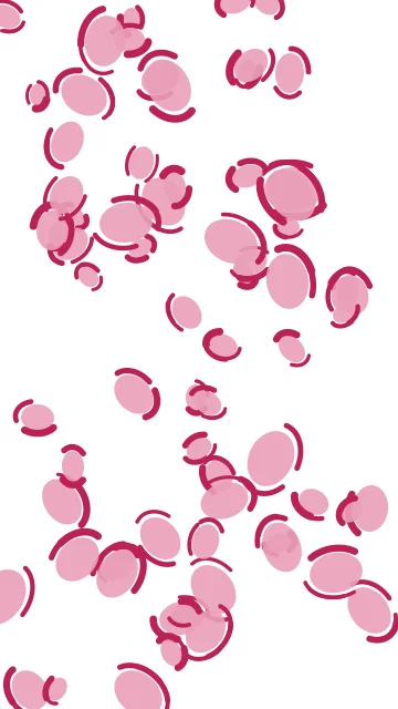 Pastel Petal leopard phone wallpaper — free HD pastel petal mobile wallpaper 1080x1920