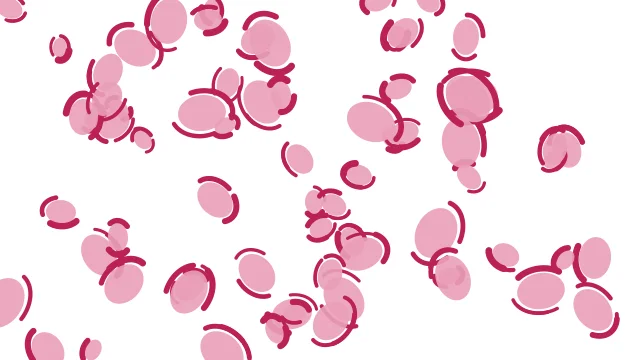 Pastel Petal leopard print background — free HD pastel petal color wallpaper 1920x1080