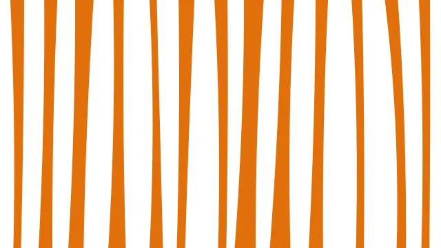 Peach Puff zebra desktop wallpaper — free 4K peach puff wallpaper 3840x2160