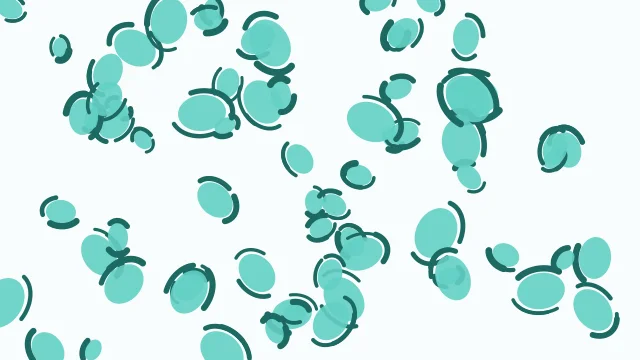 Pearl Aqua leopard desktop wallpaper — free 4K pearl aqua wallpaper 3840x2160