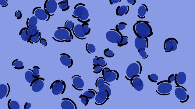 Persian Blue leopard print background — free HD persian blue color wallpaper 1920x1080