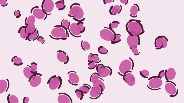 Petal Pink leopard print background — free HD petal pink color wallpaper 1920x1080