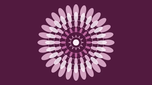 Petal Pink mandala background — free HD petal pink color wallpaper 1920x1080