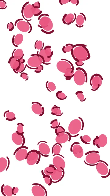Petal Rouge leopard phone wallpaper — free HD petal rouge mobile wallpaper 1080x1920