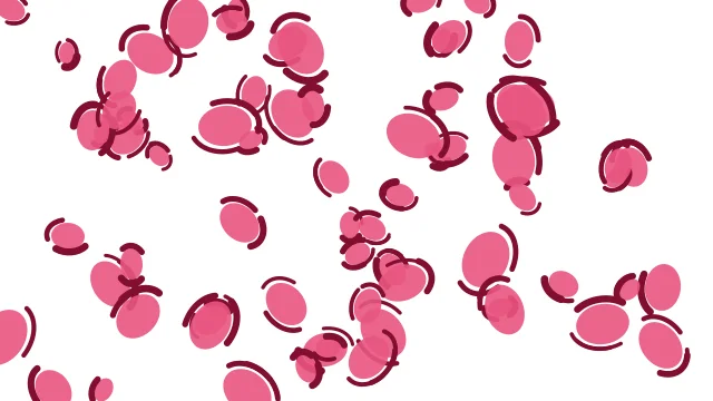 Petal Rouge leopard print background — free HD petal rouge color wallpaper 1920x1080