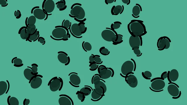 Pine Teal leopard print background — free HD pine teal color wallpaper 1920x1080