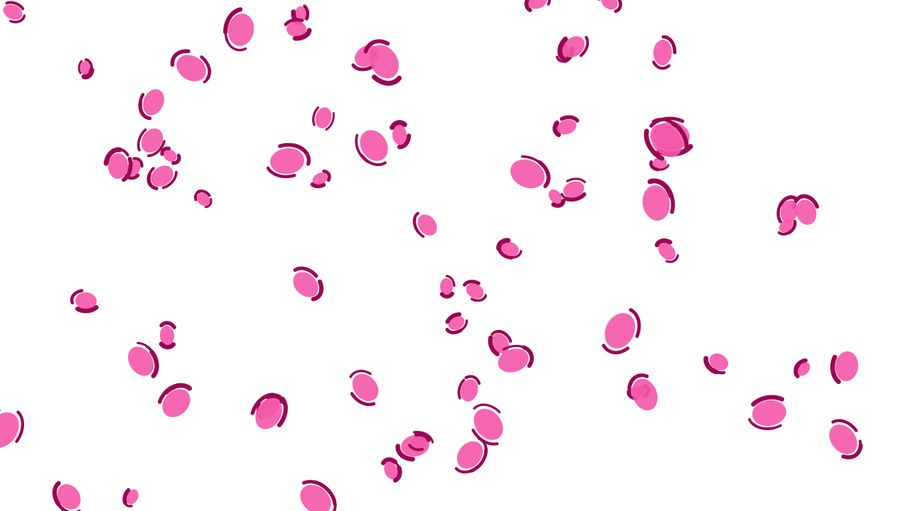Pink Carnation leopard print background — free HD pink carnation color wallpaper 1920x1080