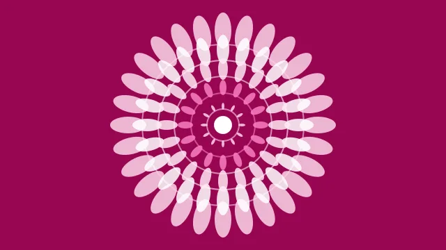 Pink Carnation mandala background — free HD pink carnation color wallpaper 1920x1080